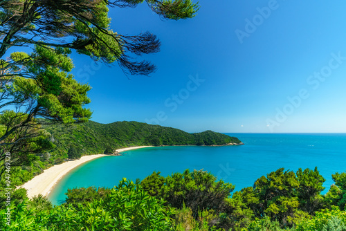 panorama of a beach, abel tasman national park, new zealand 3