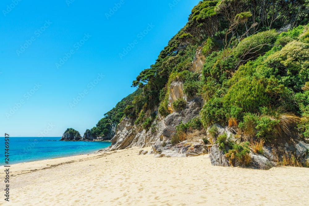 tropical beach in abel tasman national park, new zealand 27