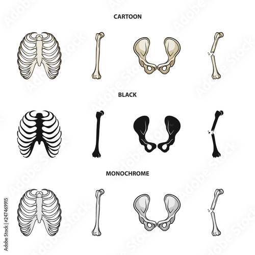 Vector illustration of medicine and clinic symbol. Set of medicine and medical stock vector illustration.