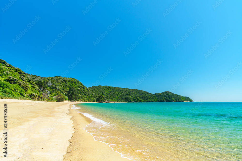 tropical beach in abel tasman national park, new zealand 41 tropical beach in abel tasman national park, new zealand 41