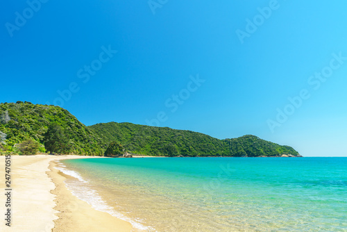 tropical beach in abel tasman national park  new zealand 40