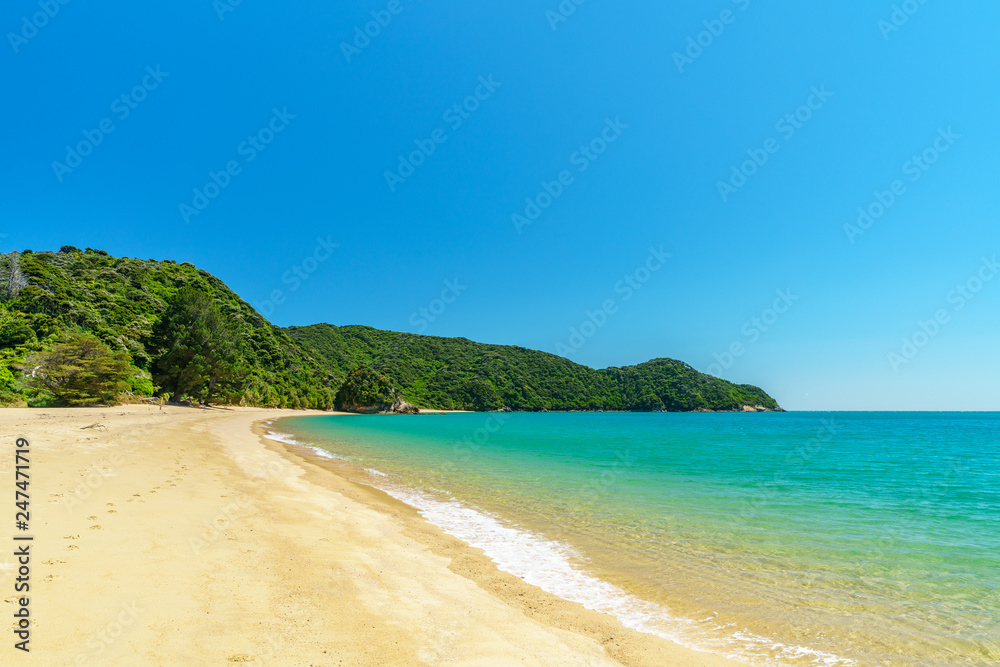 tropical beach in abel tasman national park, new zealand 58