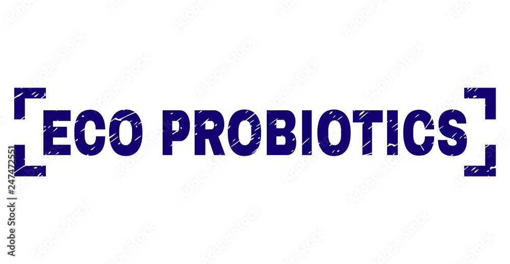 ECO PROBIOTICS text seal print with corroded effect. Text label is placed between corners. Blue vector rubber print of ECO PROBIOTICS with scratched texture.