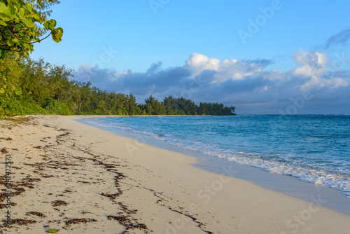 A tropical beach in the late afternoon. Tropical plants  blue sky and clouds.
