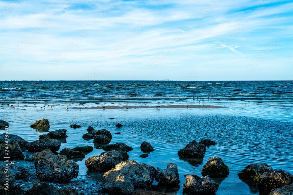 Φωτογραφία The magnificent beauty of Terra Ceia Aquatic Preserve in west central Florida