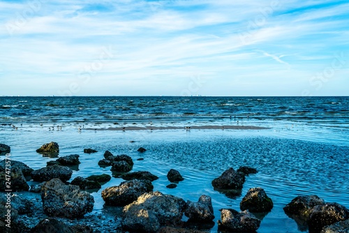 The magnificent beauty of Terra Ceia Aquatic Preserve in west central Florida.