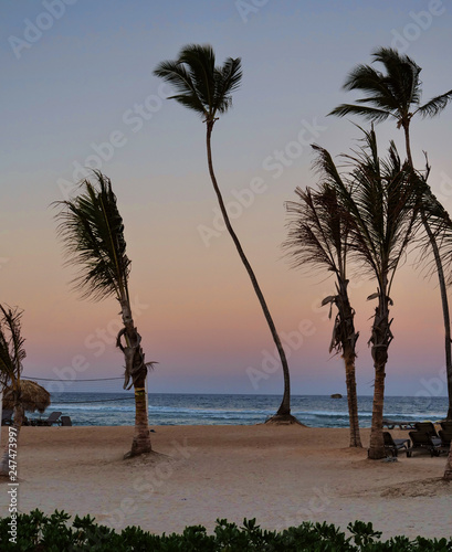 Sunset on the beach