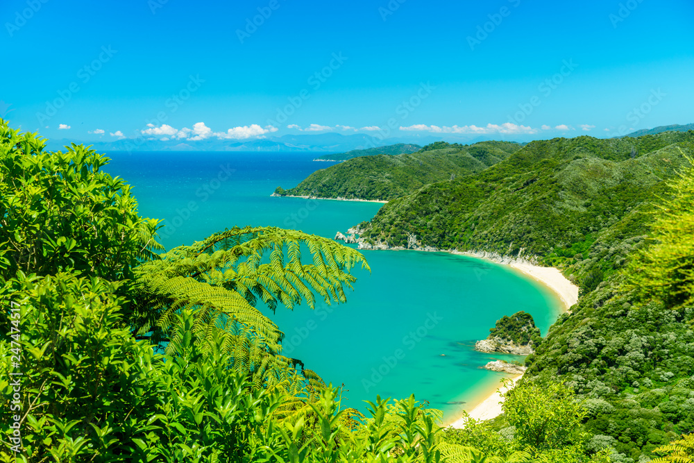 Ταπετσαρία panorama of a beach, abel tasman national park, new zealand 6