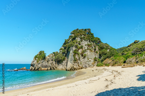 tropical beach in abel tasman national park, new zealand 83