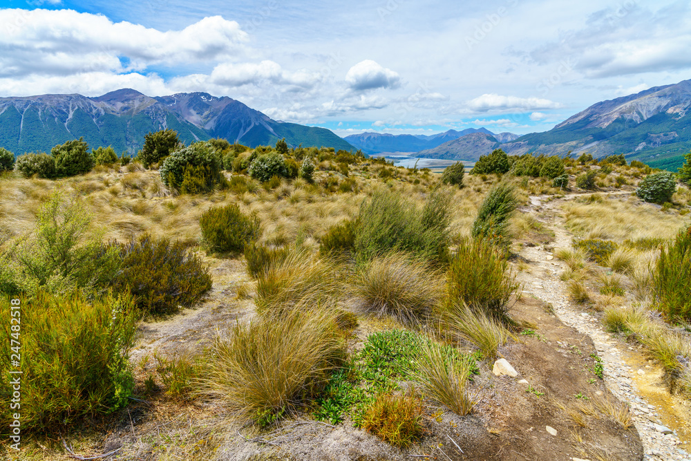 hiking the bealey spur track, arthurs pass, new zealand 3 hiking the bealey spur track, arthurs pass, new zealand 3