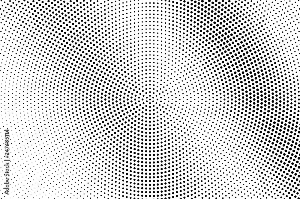 Black and white halftone vector texture. Diagonal dotted gradient. Circular dotwork surface for vintage effect. Black and white halftone vector texture. Diagonal dotted gradient. Circular dotwork surface for vintage effect.