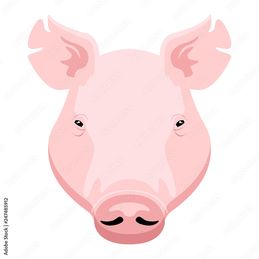 Fototapeta premium Isolated pig head image. Vector illustration design