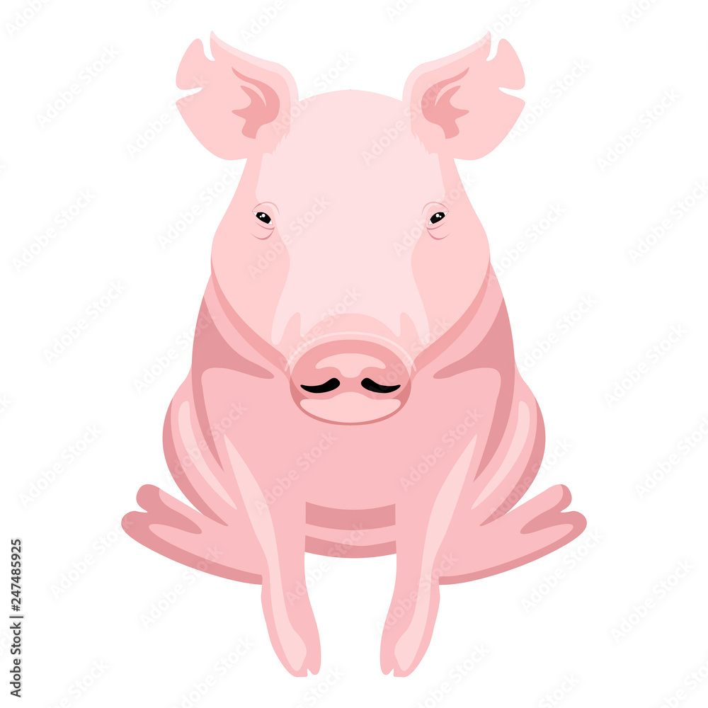 Front view of a pig sitting. Farm animal. Vector illustration design Front view of a pig sitting. Farm animal. Vector illustration design