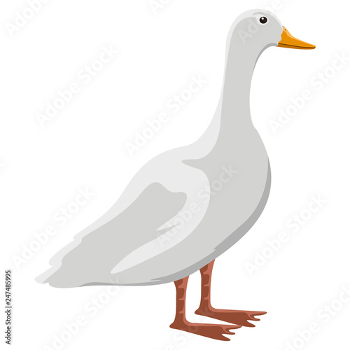 Isolatesd cute duck image. Vector illustration design