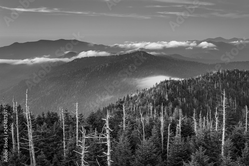 View of fog in the Smokies from Clingman's Dome Observation Tower, in Great Smoky Mountains National Park, Tennessee.