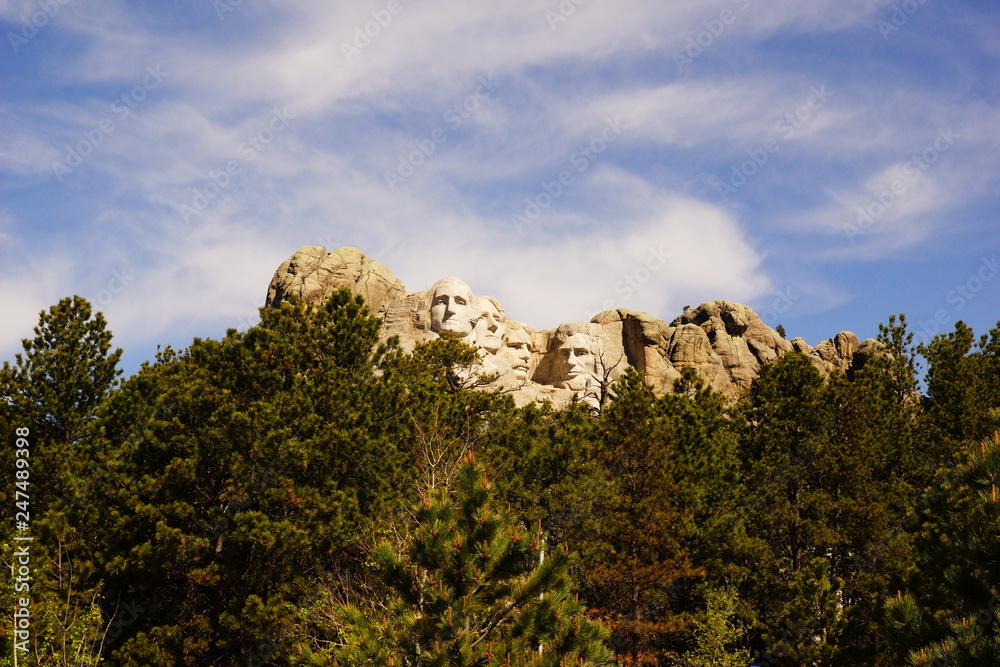 tree in mountains Mt Rushmore