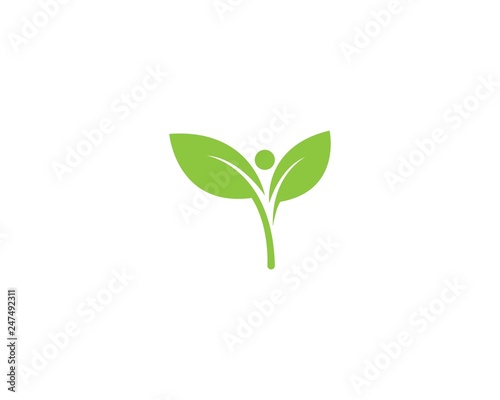 green leaf logo vector © devankastudio