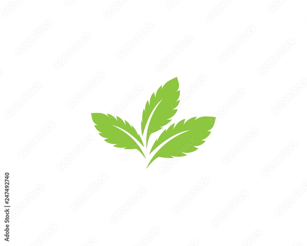 Fototapeta premium green leaf logo vector