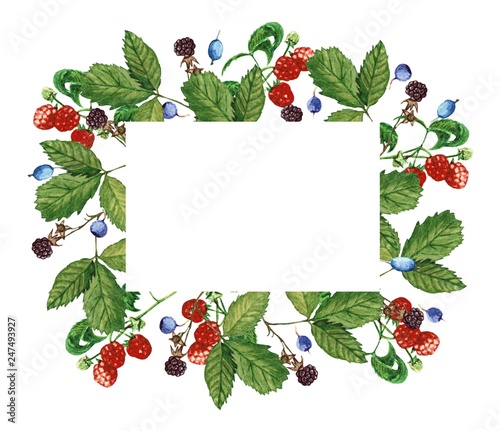 Watercolor cute borders with wild berries 