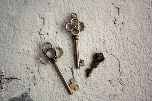 old key on wooden background © Tatyana