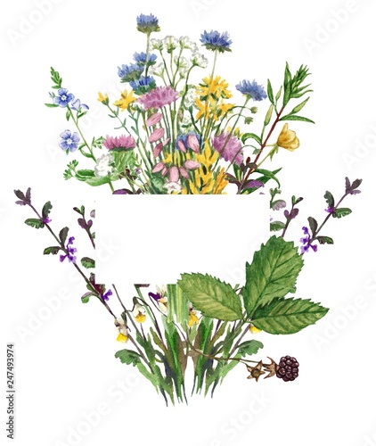Floral frame wit meadow flowers. Watercolor illustration