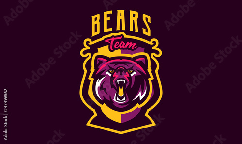 Colorful emblem of an aggressive bear. Sports logo bear. Forest predator, wild beast. Vector illustration