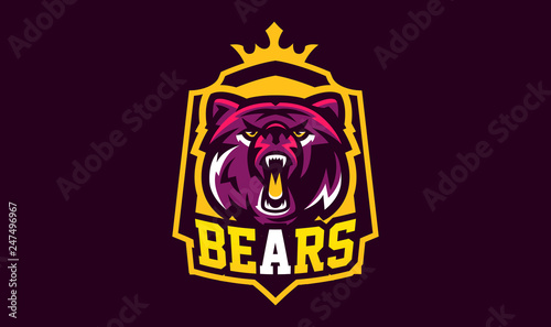 Colorful emblem of an aggressive bear. Sports logo bear. Forest predator, wild beast. Vector illustration