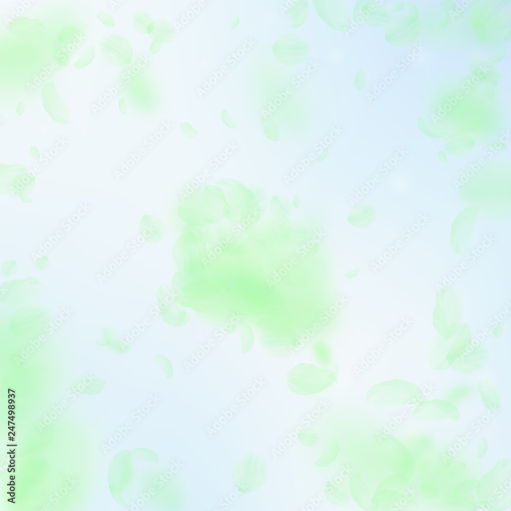 Green flower petals falling down. Mesmeric romanti Green flower petals falling down. Mesmeric romanti
