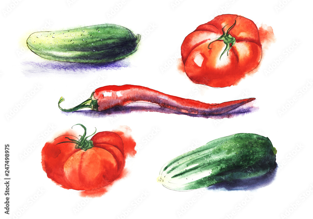 Red tomatos, chili pepper, green cucumber. Set of five hand drawn watercolor illustrtion on a textured paper. Isolate on a hite background. Red tomatos, chili pepper, green cucumber. Set of five hand drawn watercolor illustrtion on a textured paper. Isolate on a hite background.