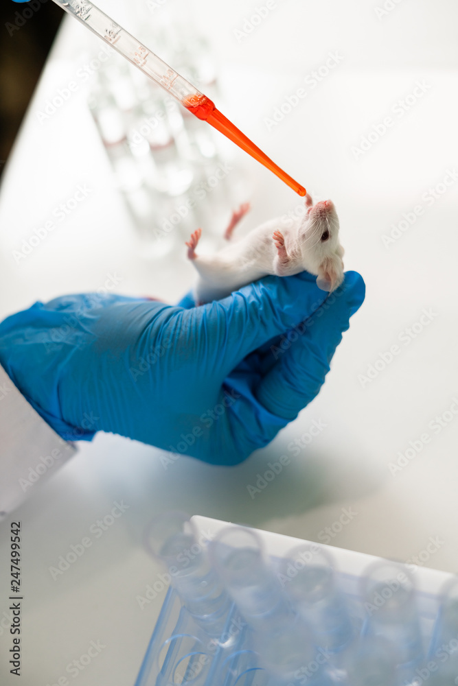 Woman chemist testing new formula on little lab mouses