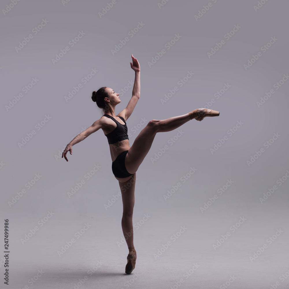Beautiful Ballet Dancer Posing On Pointes. Beautiful Ballet Dancer Posing On Pointes.