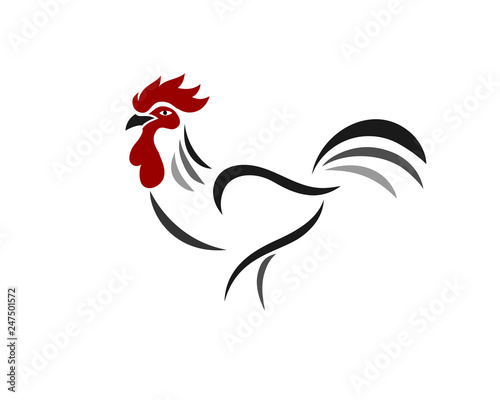 vector line art chicken rooster logo design inspiration