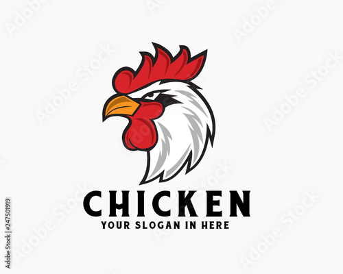Vector cartoon angry rooster head chicken logo design inspiration