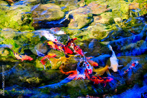 abstract bright background of colorful fish floating in water