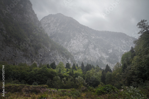 rainy and foggy day in the mountains