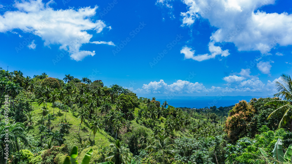 Dschungellandschaft in der Karibik