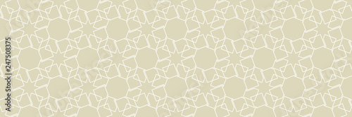Geometric seamless pattern. Square white design on long olive green background