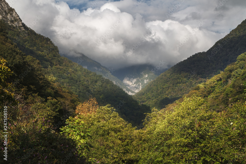 mountain range covered with forest in autumn day