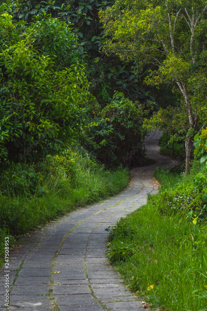 Bali Weg Bali Weg