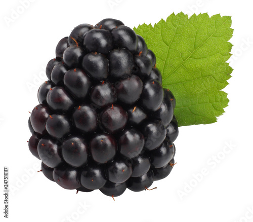 Blackberries isolated on white. Macro