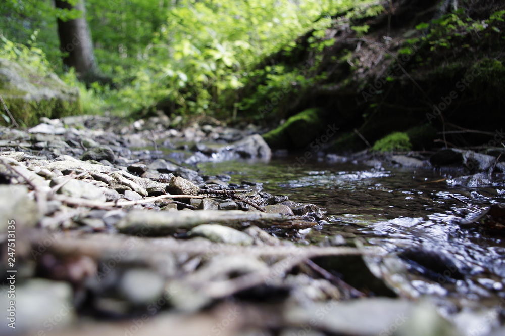 Fototapeta premium Impressionen am Bach im Wald