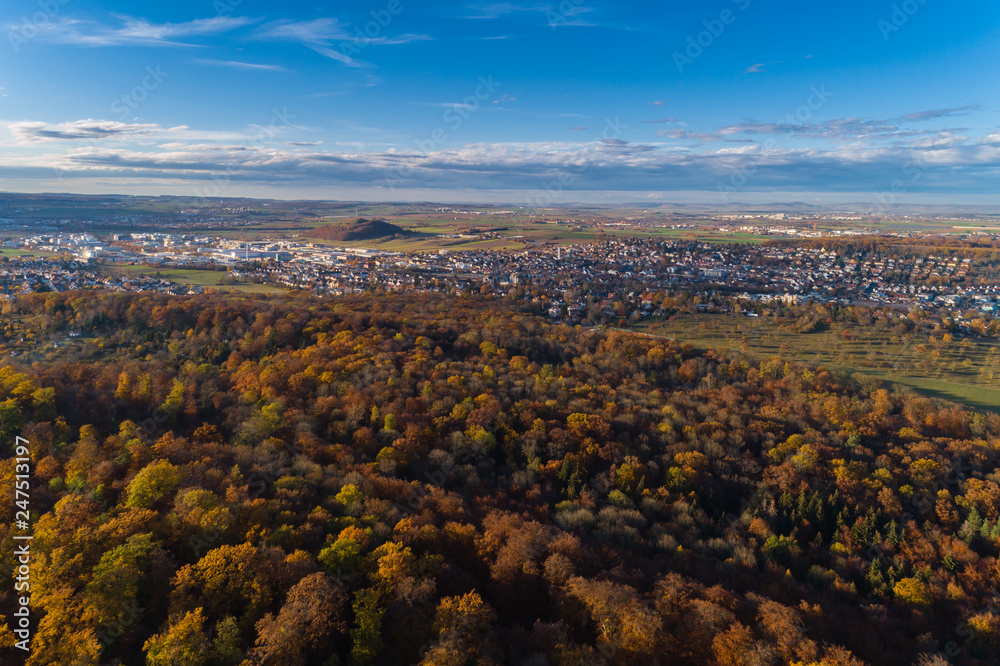 Herbstlicher Wald in Baden Württemberg