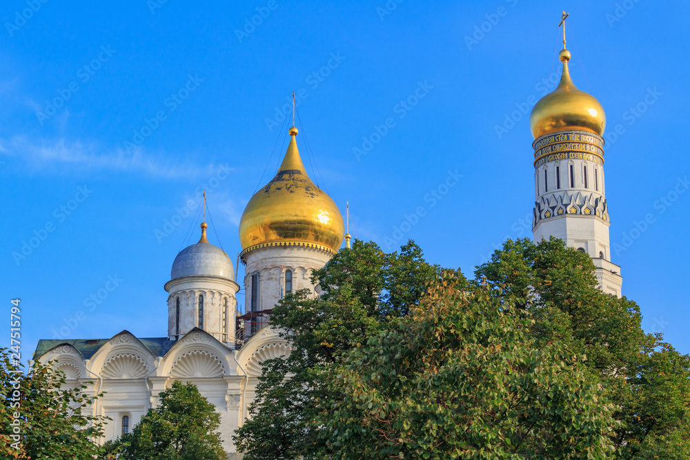 Domes of Cathedral of the Archangel and Ivan the Great Bell-Tower on Moscow Kremlin territory against blue sky and green trees in sunny early morning
