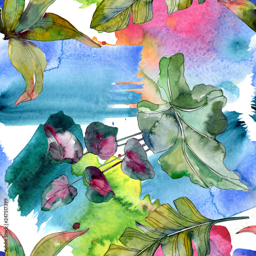 Green leaf. Exotic tropical hawaiian summer. Watercolor background illustrati...