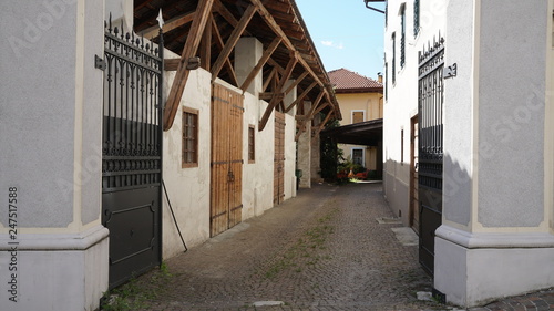 ROVERE' DELLA LUNA - PIANA ROTALIANA - TRENTINO