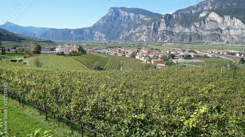 SAN MICHELE ALL'ADIGE - PIANA ROTALIANA - TRENTINO