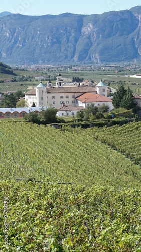 SAN MICHELE ALL'ADIGE - TRENTINO