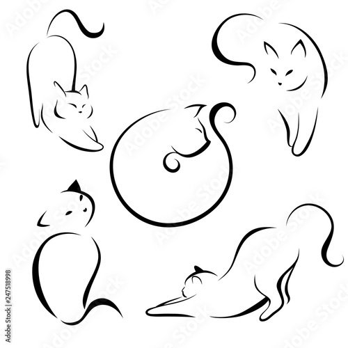 Cats, black lines. Linear design. Cats, vector illustration. cat