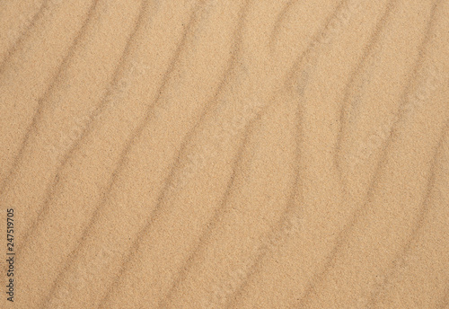 sand and desert background, top view