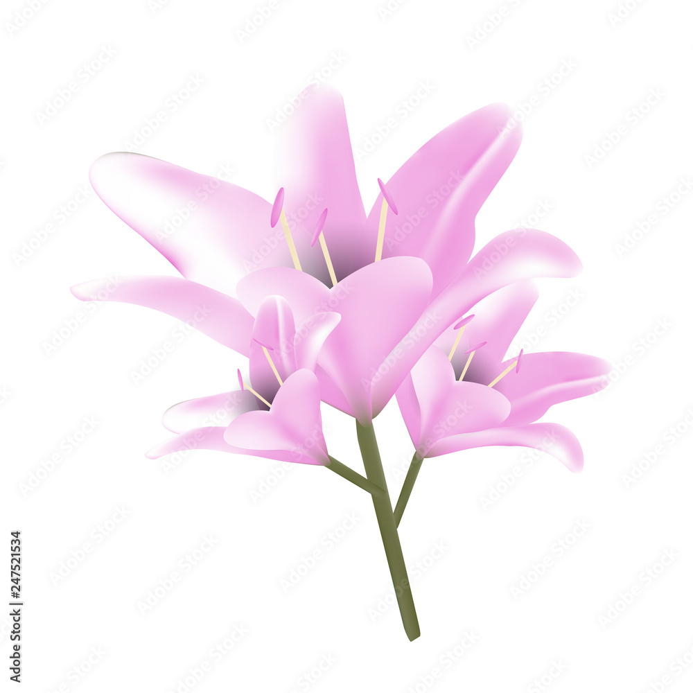 Bouquet of pastel pink lilies.